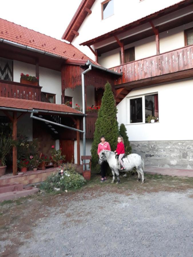 Molnar Vendeghaz Bed & Breakfast Прайд Екстериор снимка