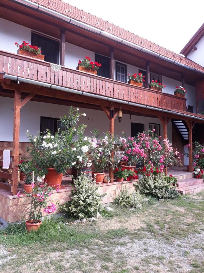 Molnar Vendeghaz Bed & Breakfast Прайд Екстериор снимка